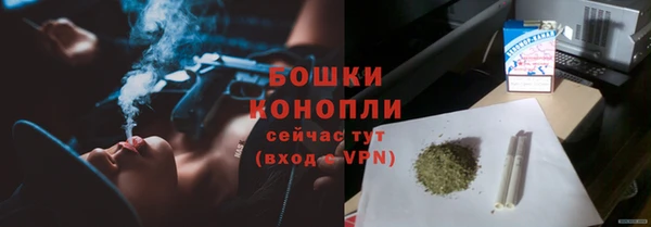 молекула духа Инсар