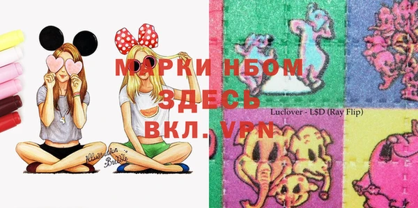 молекула духа Инсар