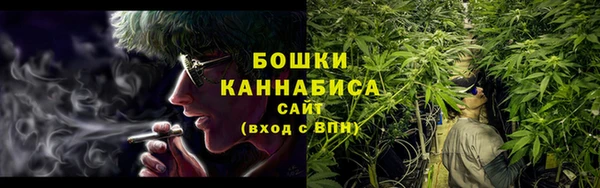 молекула духа Инсар