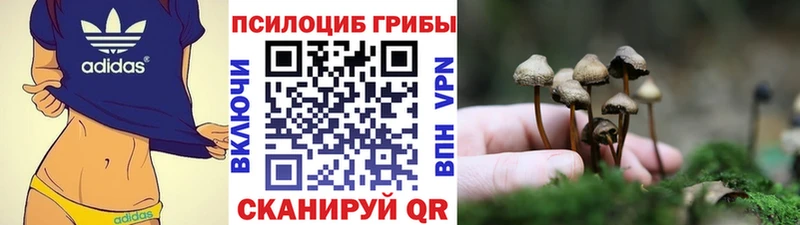 магазин продажи   Маркс  Галлюциногенные грибы MAGIC MUSHROOMS 