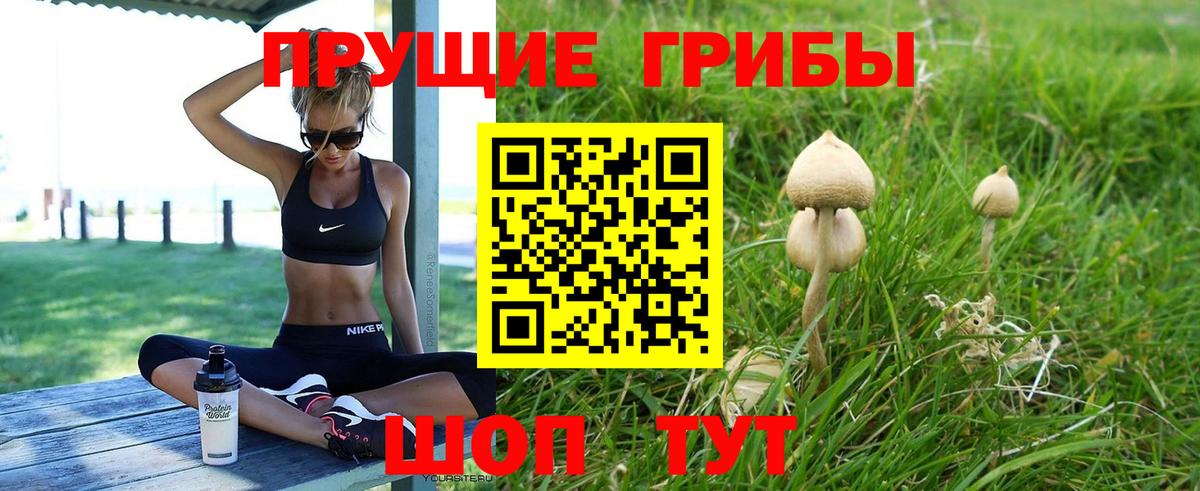 Маркс  Галлюциногенные грибы прущие грибы  Вход с VPN 